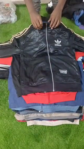 A descriptive alt text for this image