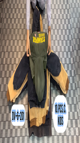 A descriptive alt text for this image