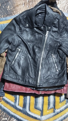 A descriptive alt text for this image