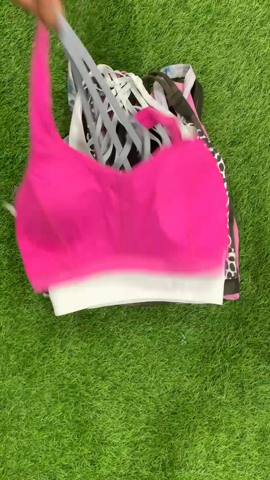 A descriptive alt text for this image