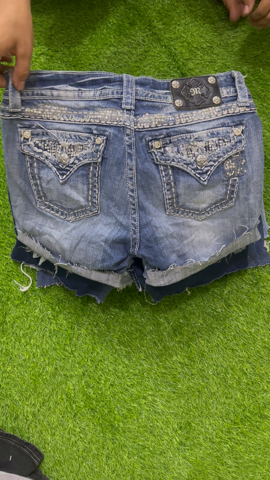 A descriptive alt text for this image