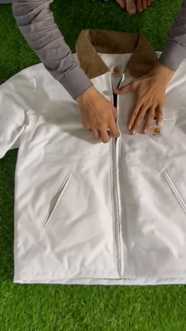 A descriptive alt text for this image