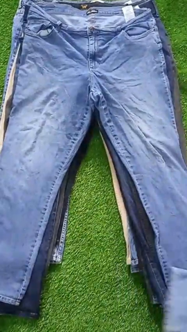 A descriptive alt text for this image