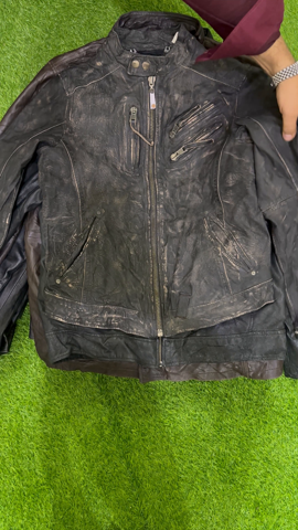 A descriptive alt text for this image