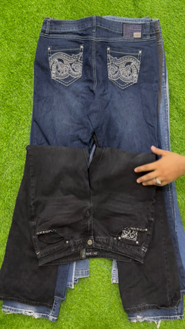 A descriptive alt text for this image