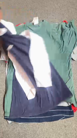 A descriptive alt text for this image