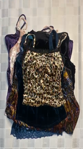 A descriptive alt text for this image