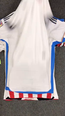 A descriptive alt text for this image