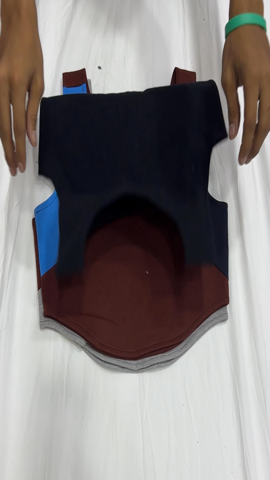 A descriptive alt text for this image