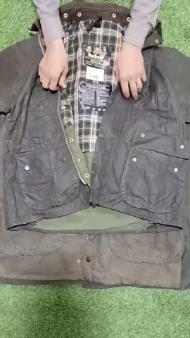 A descriptive alt text for this image