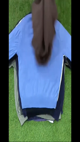 A descriptive alt text for this image
