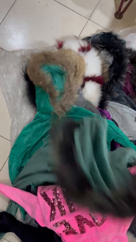 A descriptive alt text for this image