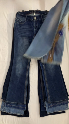A descriptive alt text for this image