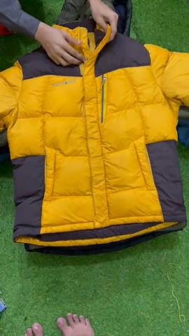 A descriptive alt text for this image