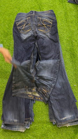 A descriptive alt text for this image