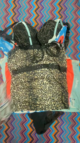 A descriptive alt text for this image