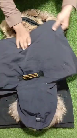 A descriptive alt text for this image