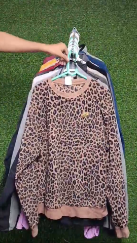 A descriptive alt text for this image