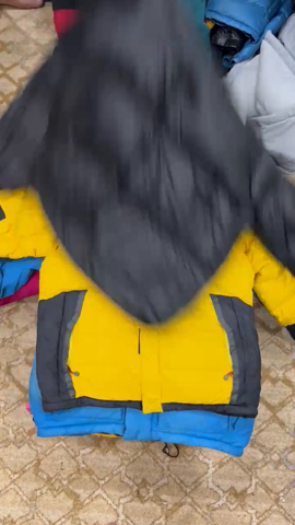 A descriptive alt text for this image