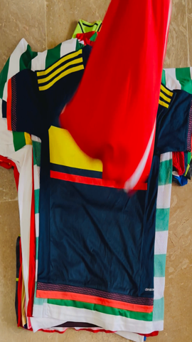 A descriptive alt text for this image