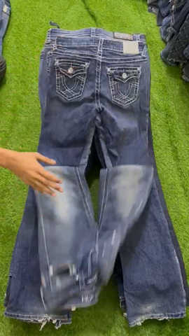 A descriptive alt text for this image