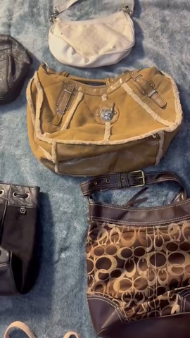 A descriptive alt text for this image