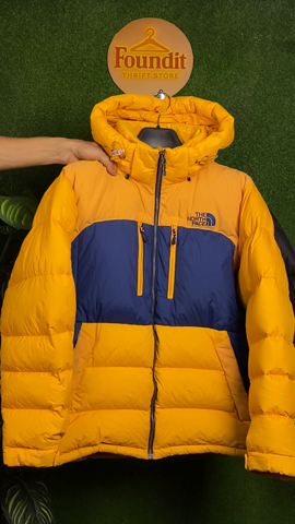 A descriptive alt text for this image