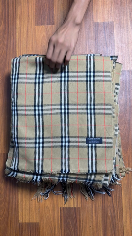 A descriptive alt text for this image