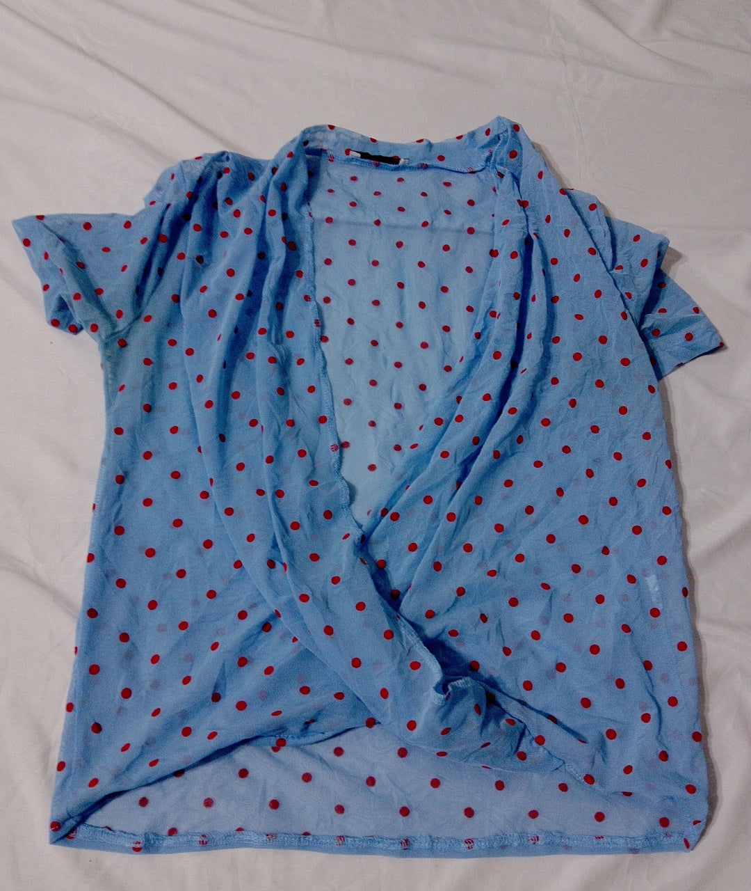 A descriptive alt text for this image