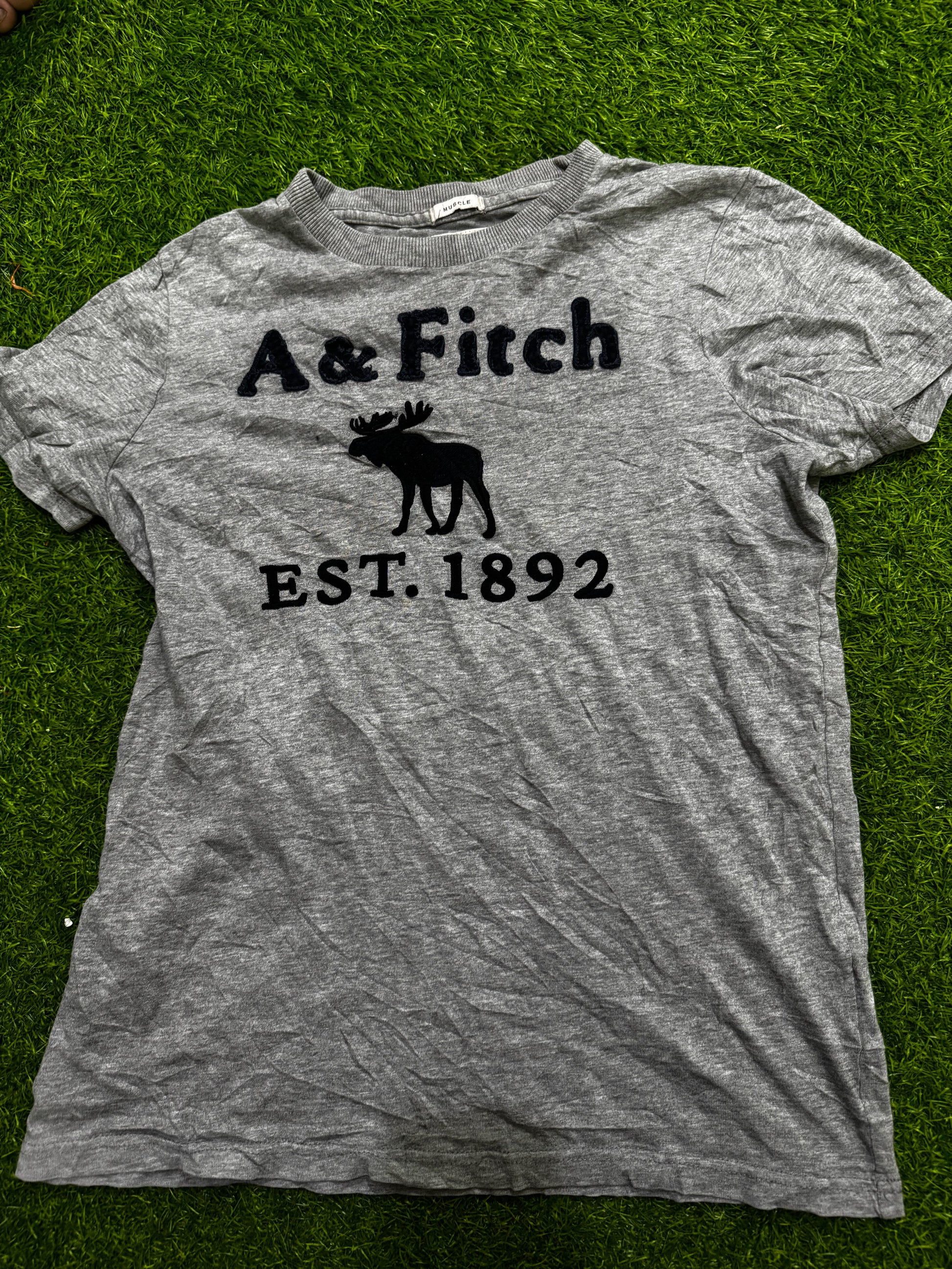 A descriptive alt text for this image