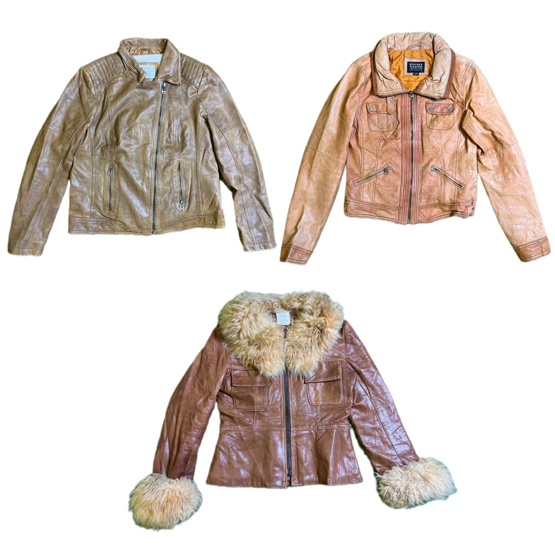 A descriptive alt text for this image