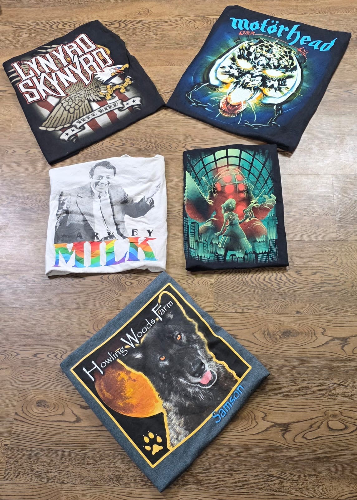 A descriptive alt text for this image