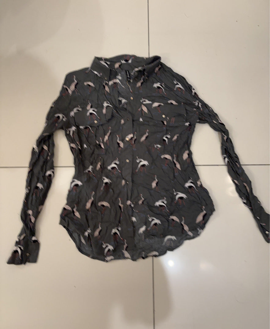 A descriptive alt text for this image