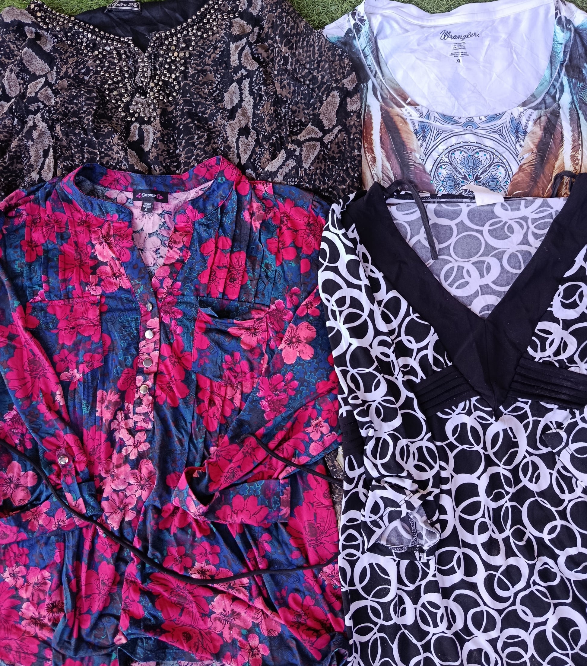 A descriptive alt text for this image