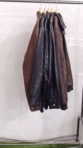 A descriptive alt text for this image