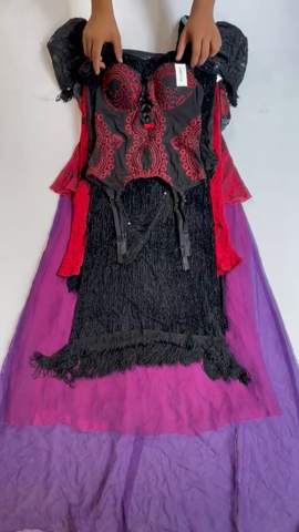 A descriptive alt text for this image