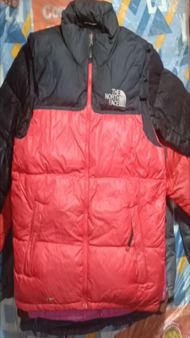 A descriptive alt text for this image