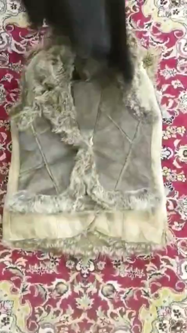 A descriptive alt text for this image