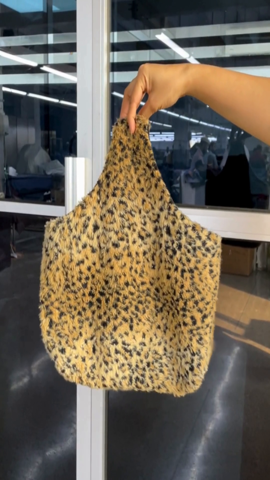 A descriptive alt text for this image