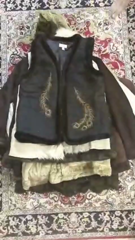 A descriptive alt text for this image