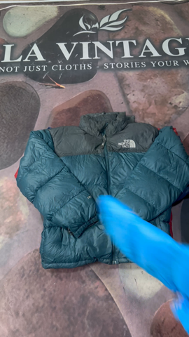 A descriptive alt text for this image