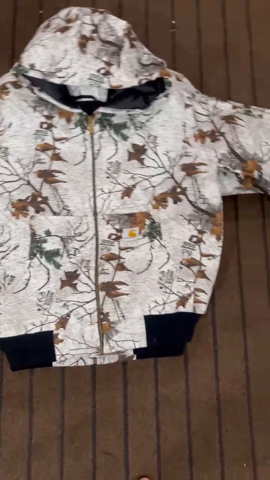 A descriptive alt text for this image