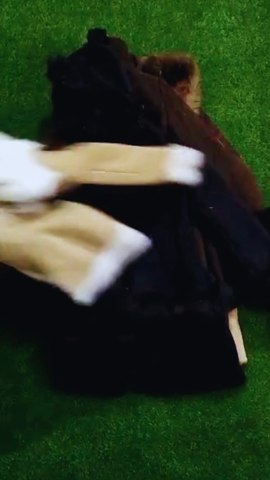 A descriptive alt text for this image