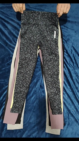 A descriptive alt text for this image