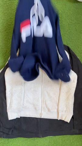 A descriptive alt text for this image