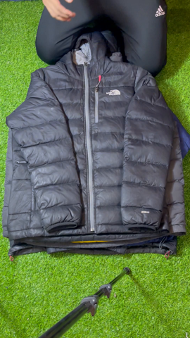 A descriptive alt text for this image