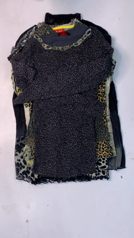 A descriptive alt text for this image