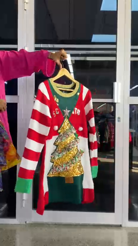 A descriptive alt text for this image