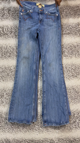 A descriptive alt text for this image