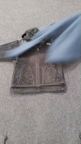 A descriptive alt text for this image